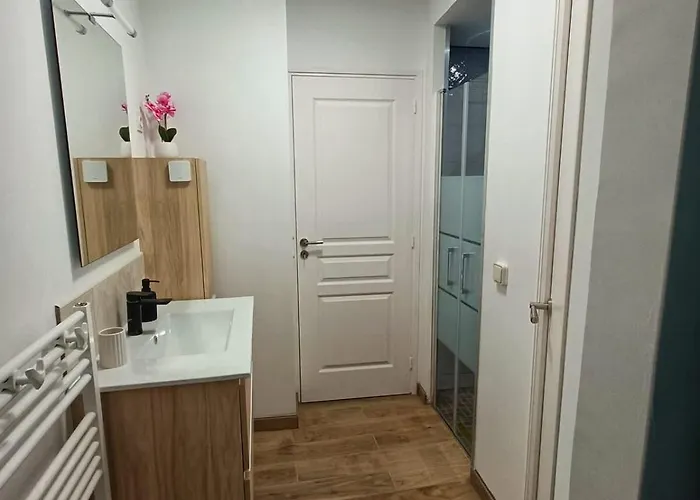 Le Rez Des Arcades - T2 En Rdc Hypercentre *