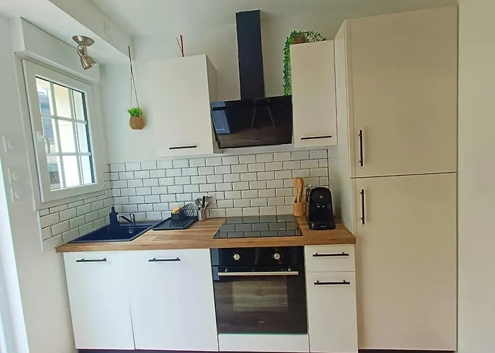 Le Rez Des Arcades - T2 En Rdc Hypercentre Apartment