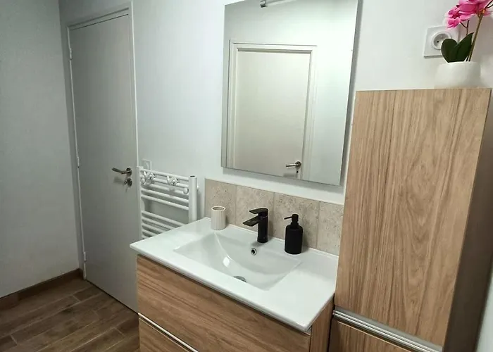 Le Rez Des Arcades - T2 En Rdc Hypercentre Apartment *